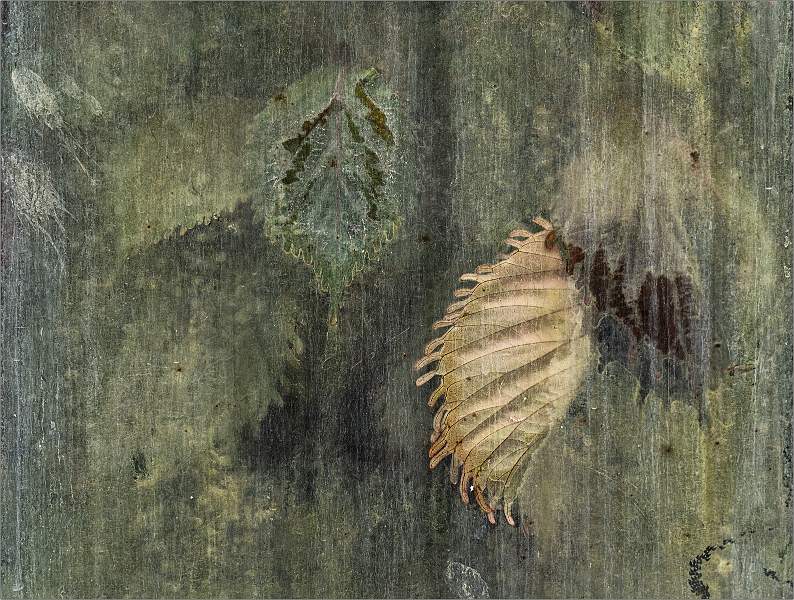 Waving Goodbye Through Misty Glass_Matthew Clarke.jpg